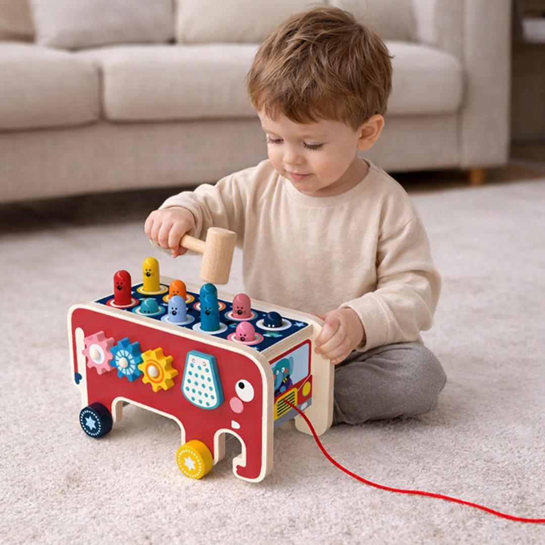 Montessori Toys