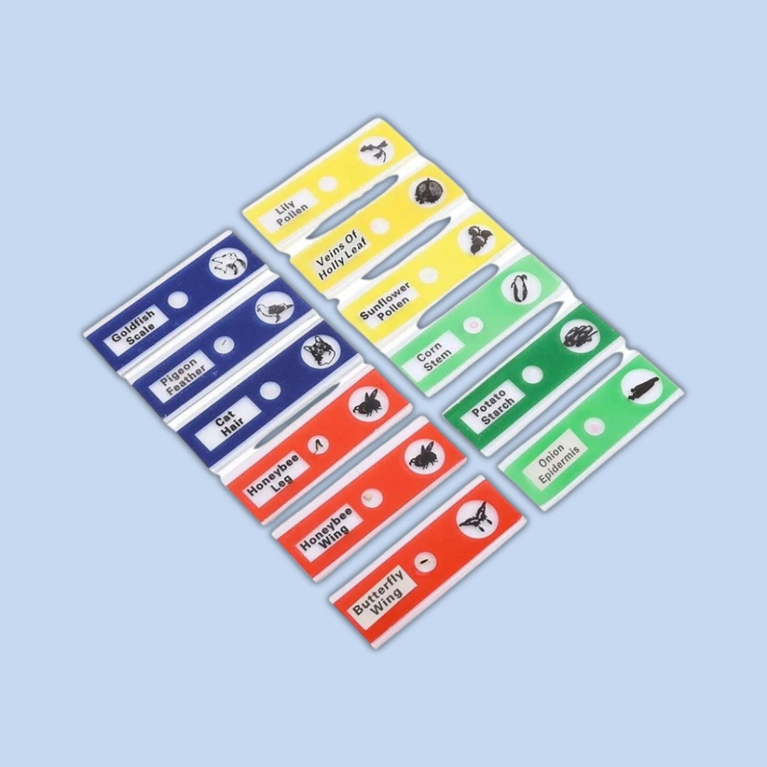 Micro World Samples 12 pcs