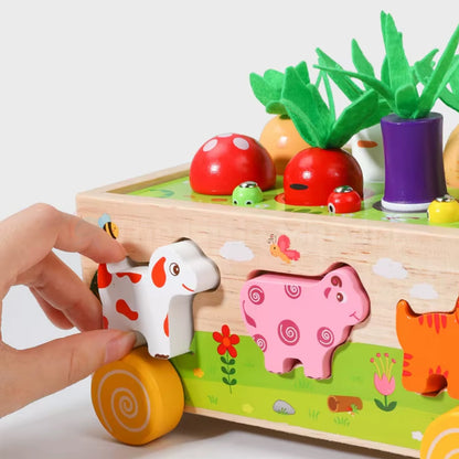 Marvin’s Montessori Carrot Harvest Toy
