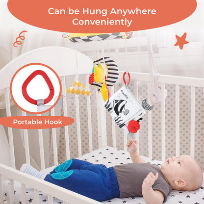 Marvin’s Newborn book