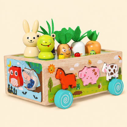Marvin’s Montessori Carrot Harvest Toy
