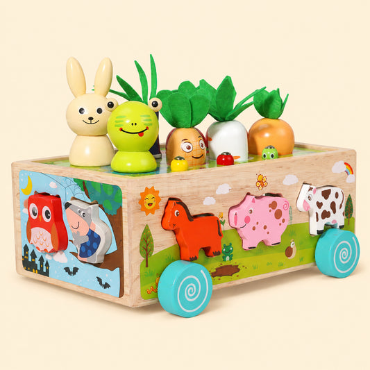 Marvin’s Montessori Carrot Harvest Toy