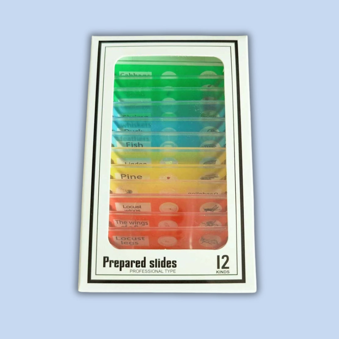 Micro World Samples 12 pcs