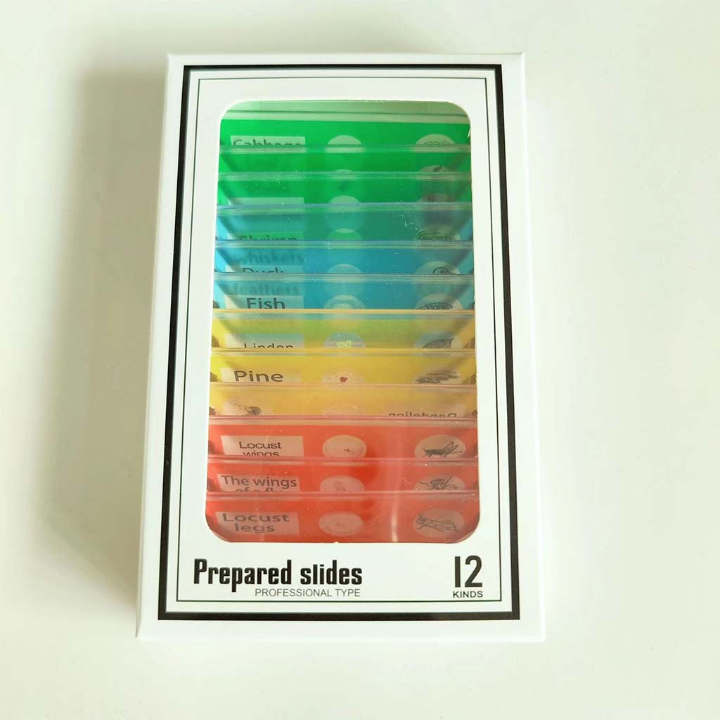 Micro-World Samples: a Set of 12 Micro-organisms – The Little Marvin