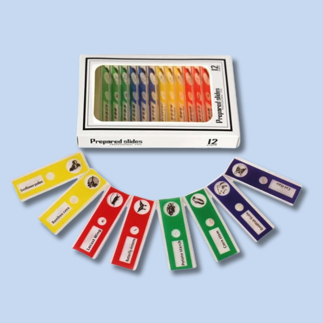 Micro-World Samples: a Set of 12 Micro-organisms – The Little Marvin