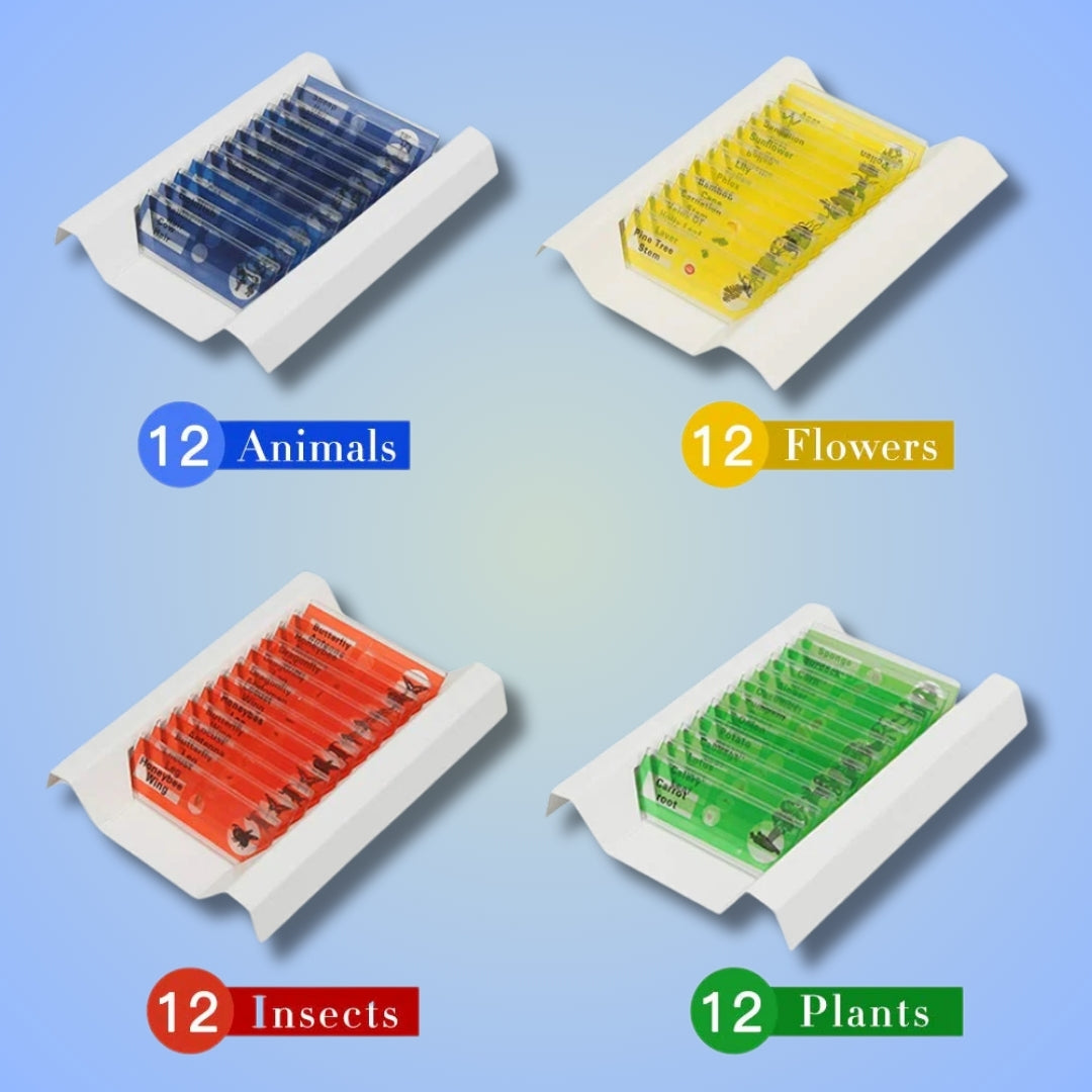 Micro-World Samples 48pcs