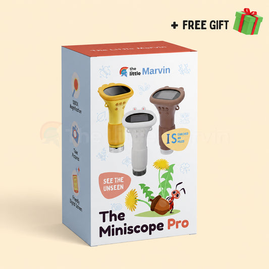The Miniscope Pro
