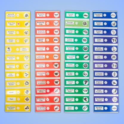 Micro-World Samples 48 pcs