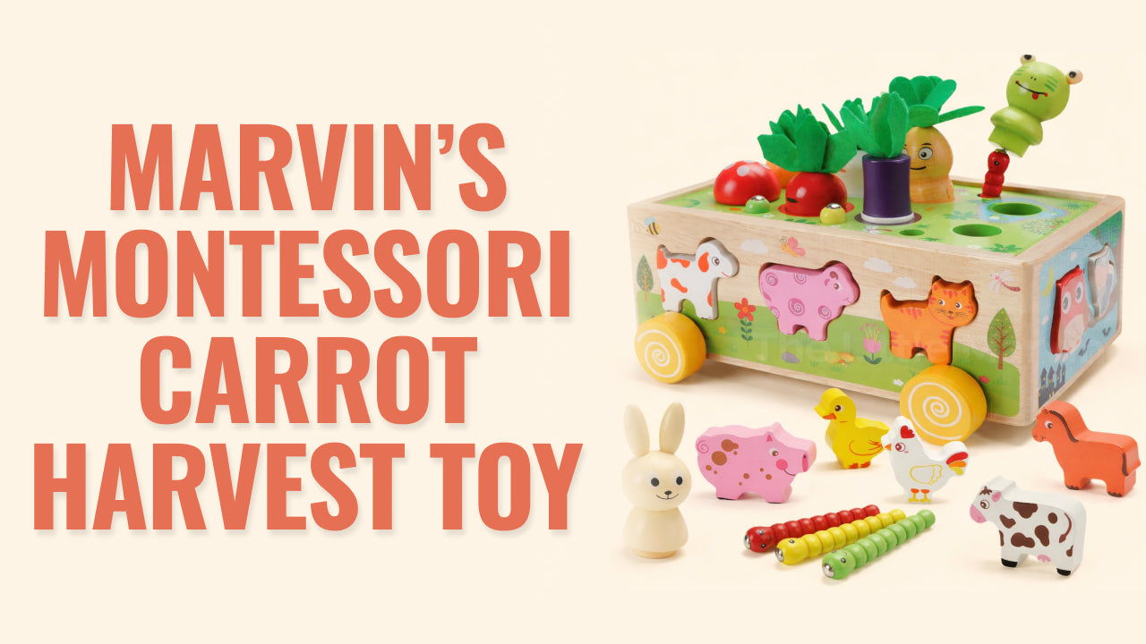 Load video: Video review of Marvin’s Montessori Carrot Harvest Toy - a fun farm activity toy that helps toddlers sort, match, and develop fine motor skills through hands-on harvest play.