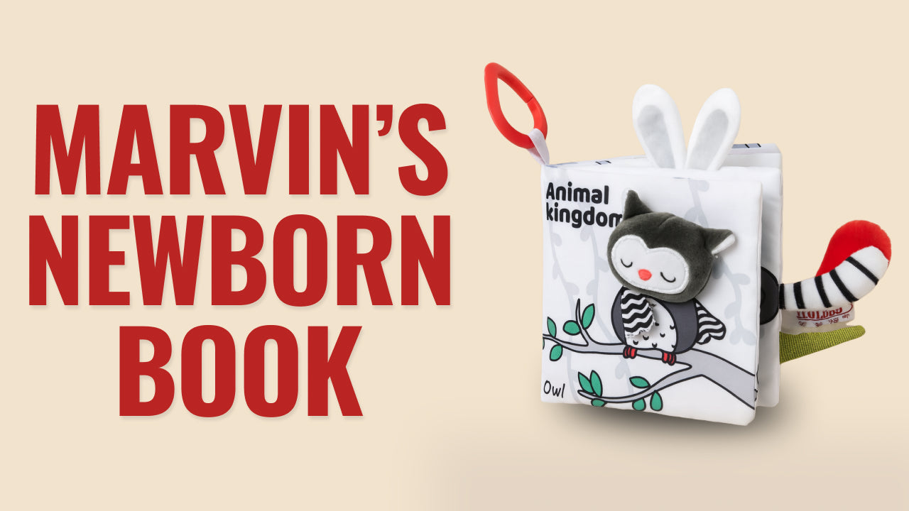 Load video: Video review of Marvin’s Newborn Book – a Montessori-inspired sensory book for babies 0–12 months that enhances visual focus, touch, and curiosity through safe, hands-on play.